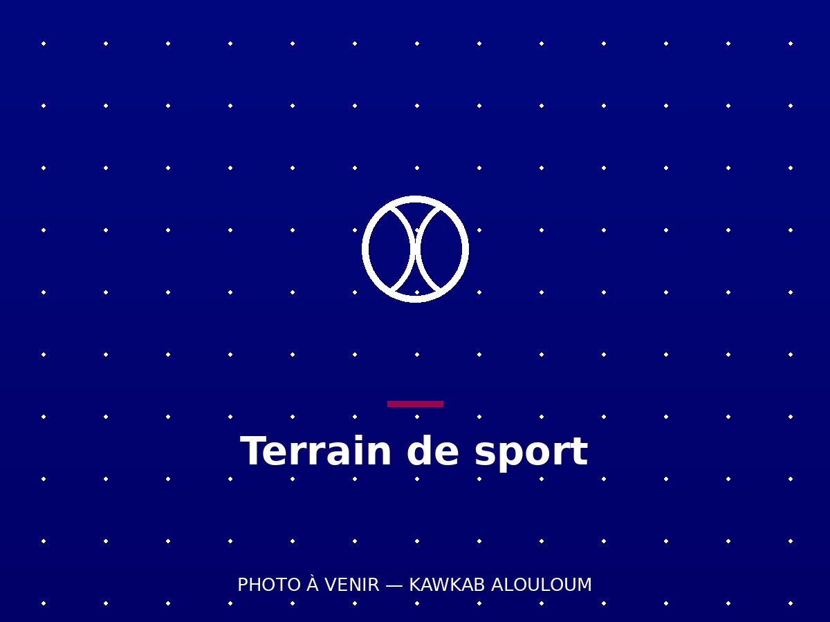Terrain de sport